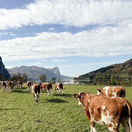 Im Ramsen - Familie Baier