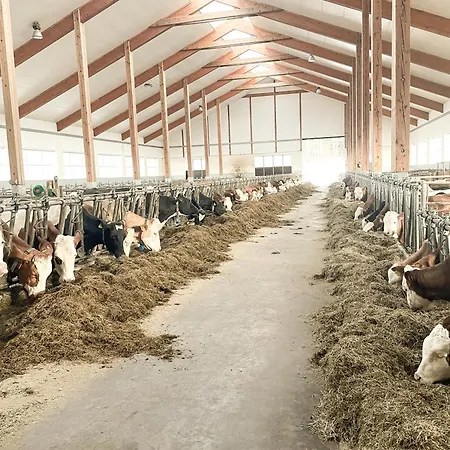 Im Ramsen - Familie Baier * Saint Wolfgang