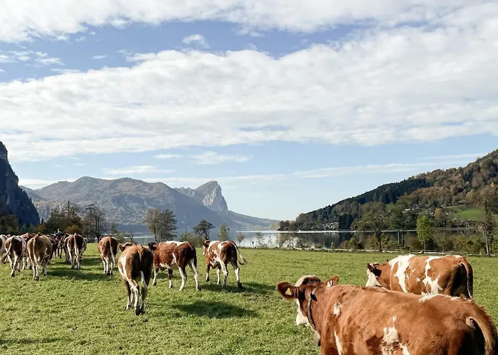 Im Ramsen - Familie Baier