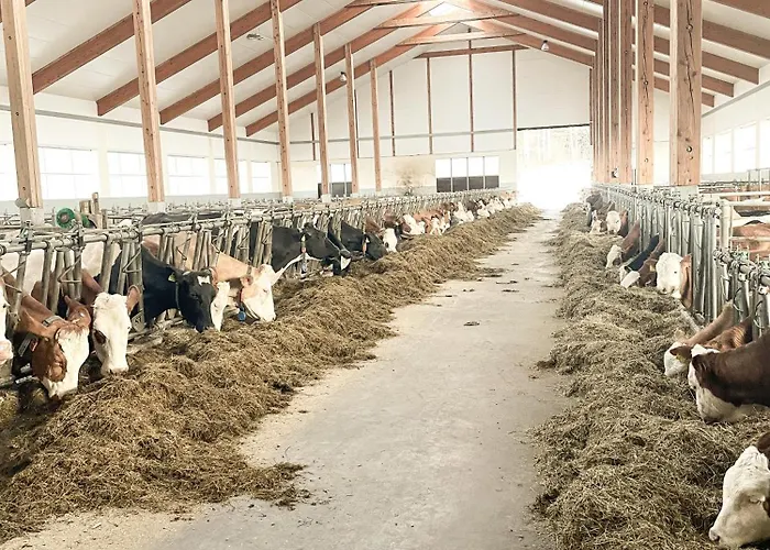 Im Ramsen - Familie Baier * Saint Wolfgang