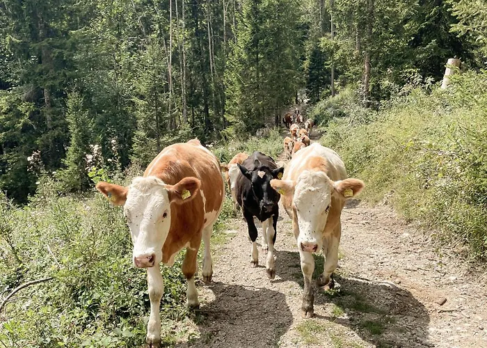 Lägenhet Im Ramsen - Familie Baier