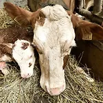 Im Ramsen - Familie Baier *