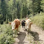 Apartman Im Ramsen - Familie Baier