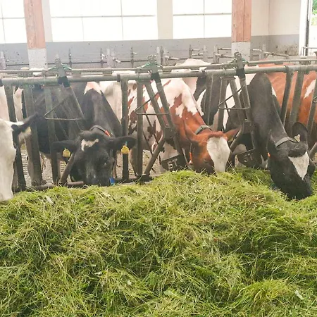 Im Ramsen - Familie Baier