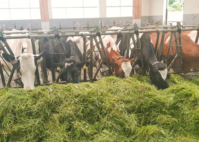 Im Ramsen - Familie Baier